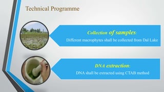 ppt final- 11-09-2020.pptx