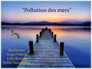 “Pollution des mers”




    Réalisé par:
  Sergio Padrón
   Lidia Barroso
Esther Sacramento
 