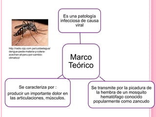 Marco
Teórico
Es una patología
infecciosa de causa
viral
Se transmite por la picadura de
la hembra de un mosquito
hematófago conocido
popularmente como zancudo
Se caracteriza por :
producir un importante dolor en
las articulaciones, músculos.
http://radio.rpp.com.pe/cuidaelagua/
dengue-peste-malaria-y-colera-
acechan-al-peru-por-cambio-
climatico/
 