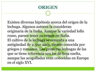 ORIGEN
Existen diversas hipótesis acerca del origen de la
lechuga. Algunos autores la consideran
originaria de la India. Aunque la variedad lollo
rosso, parece tener su origen en Italia.
El cultivo de la lechuga se remonta a una
antigüedad de 2.500 años, siendo conocida por
griegos y romanos. Las primeras lechugas de las
que se tiene referencia son las de hoja suelta,
aunque las acogolladas eran conocidas en Europa
en el siglo XVI.
 
