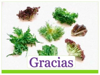 Gracias
Gracias
 