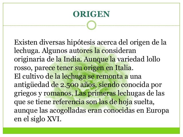 EL CULTIVO DE LECHUGA