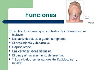 Funciones
Entre las funciones que controlan las hormonas se
incluyen:
 Las actividades de órganos completos.
 El crecimiento y desarrollo.
 Reproducción.
 Las características sexuales.
 El uso y almacenamiento de energía.
 * Los niveles en la sangre de líquidos, sal y
azúcar.
 