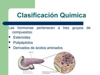 Clasificación Química
Las hormonas pertenecen a tres grupos de
compuestos:
 Esteroides
 Polipéptidos
 Derivados de ácidos aminados
 