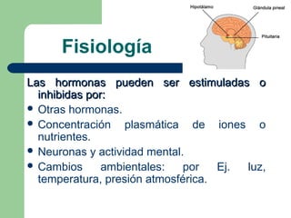 Fisiología
Las hormonas pueden ser estimuladas oLas hormonas pueden ser estimuladas o
inhibidas por:inhibidas por:
 Otras hormonas.
 Concentración plasmática de iones o
nutrientes.
 Neuronas y actividad mental.
 Cambios ambientales: por Ej. luz,
temperatura, presión atmosférica.
 