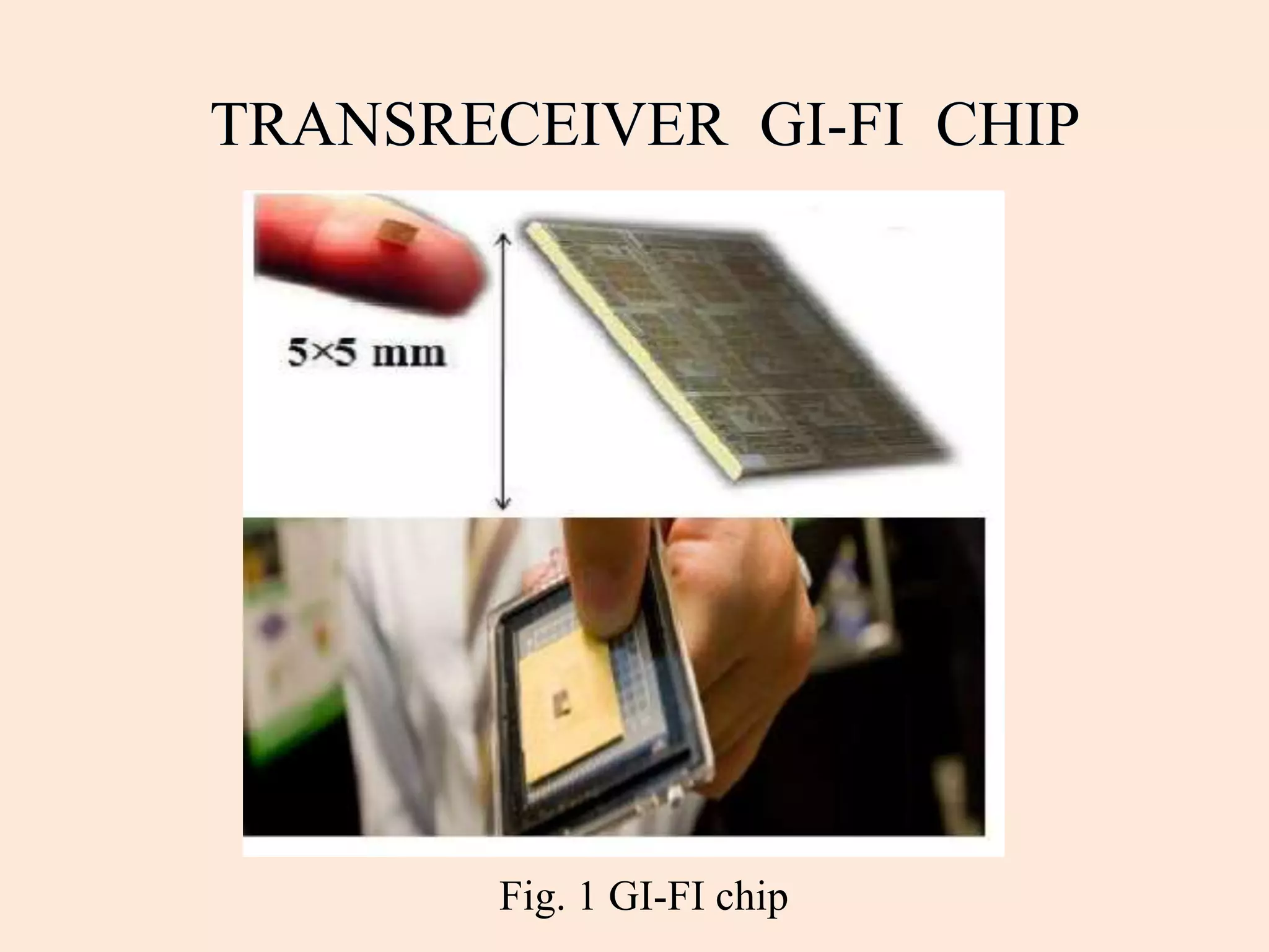 Fig. 1 GI-FI chip
 