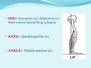 P pt final sagittal plane analysis of gait | PPTX