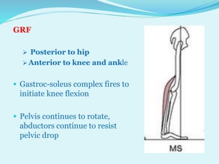 P pt final sagittal plane analysis of gait | PPTX