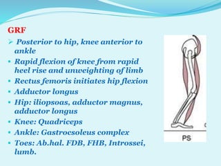 P pt final sagittal plane analysis of gait | PPTX