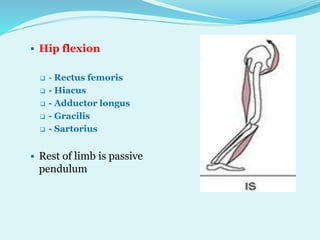 P pt final sagittal plane analysis of gait | PPTX