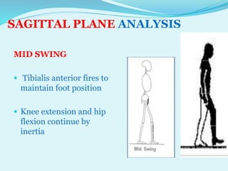 P pt final sagittal plane analysis of gait | PPTX