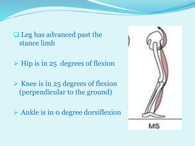 P pt final sagittal plane analysis of gait | PPTX
