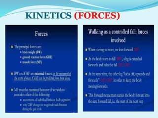 P pt final sagittal plane analysis of gait | PPTX