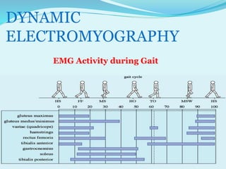 Dynamic Emg P pt final sagittal plane analysis of gait | PPTX
