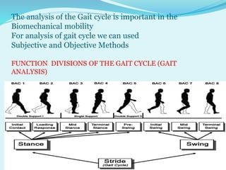 P pt final sagittal plane analysis of gait | PPTX
