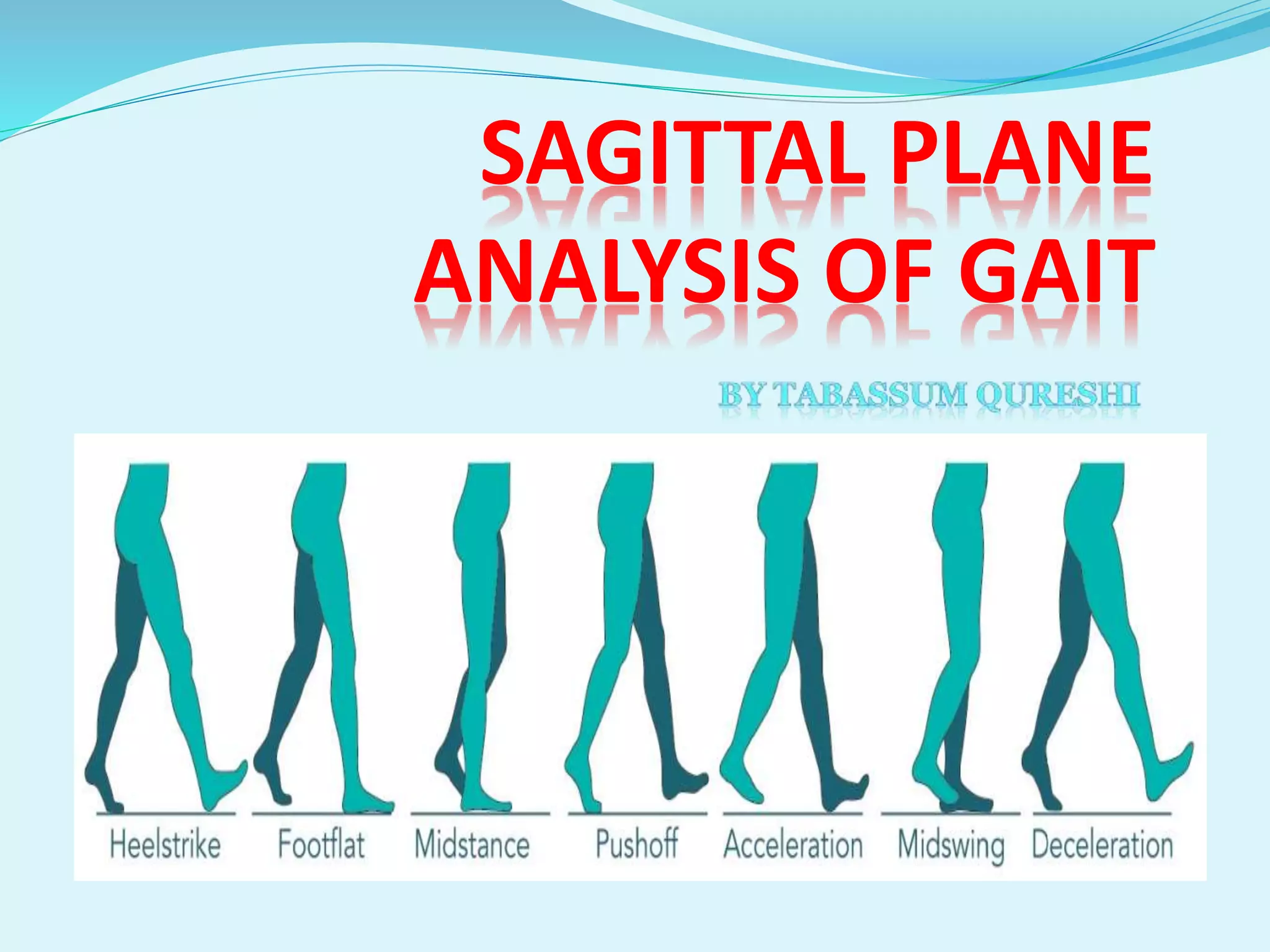 SAGITTAL PLANE ANALYSIS OF GAIT BY DR TABASSUM AZMI | PPTX