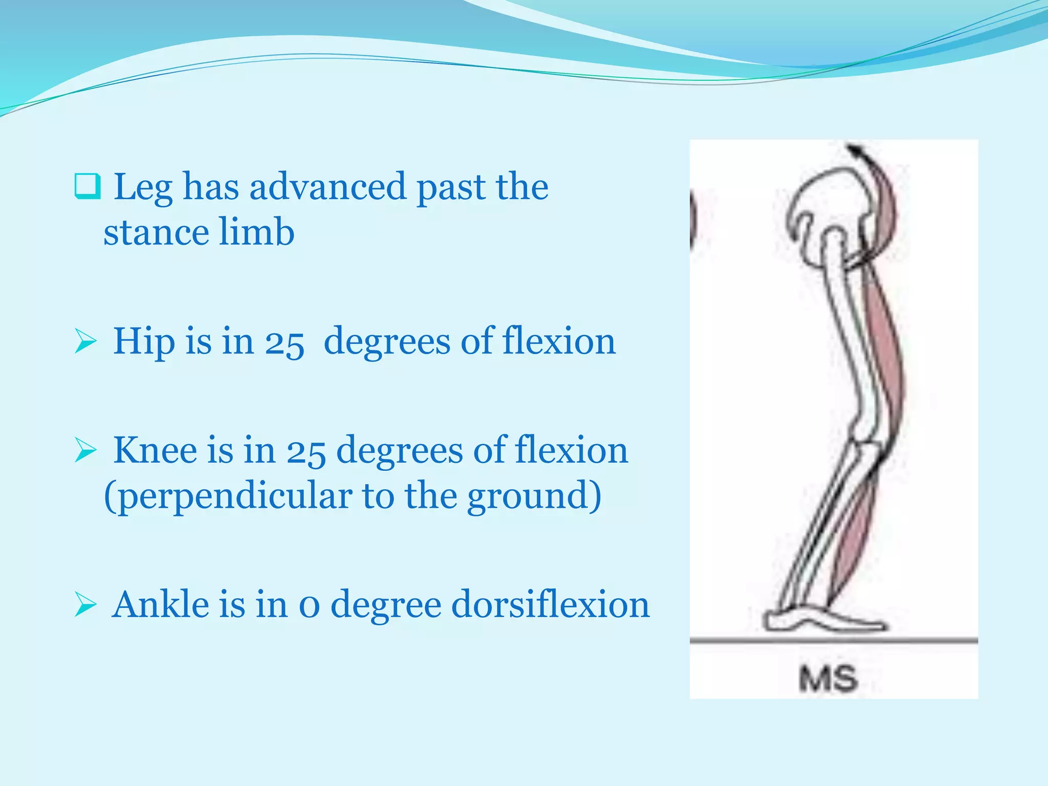 SAGITTAL PLANE ANALYSIS OF GAIT BY DR TABASSUM AZMI | PPTX
