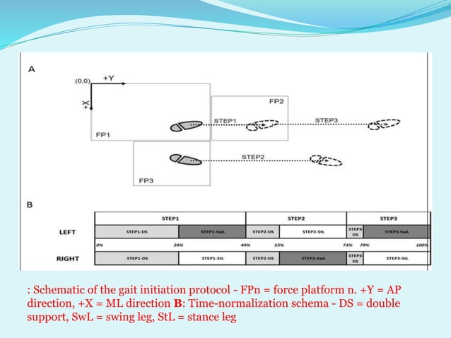 SAGITTAL PLANE ANALYSIS OF GAIT BY DR TABASSUM AZMI | PPTX