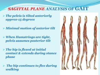 SAGITTAL PLANE ANALYSIS OF GAIT BY DR TABASSUM AZMI | PPTX