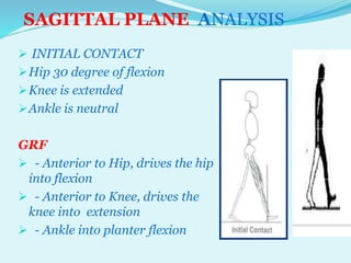 SAGITTAL PLANE ANALYSIS OF GAIT BY DR TABASSUM AZMI | PPTX