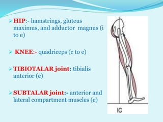 SAGITTAL PLANE ANALYSIS OF GAIT BY DR TABASSUM AZMI | PPTX