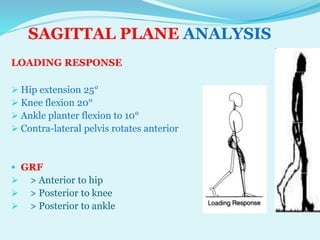 SAGITTAL PLANE ANALYSIS OF GAIT BY DR TABASSUM AZMI | PPTX