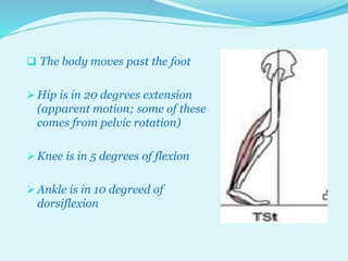 SAGITTAL PLANE ANALYSIS OF GAIT BY DR TABASSUM AZMI | PPTX