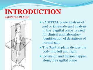 SAGITTAL PLANE ANALYSIS OF GAIT BY DR TABASSUM AZMI | PPTX