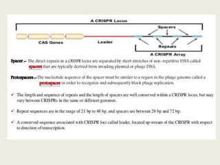 Crispr Gene Editing Tool Pptx