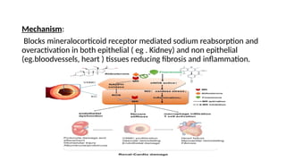 Finerenone in heart failure with preserved ejection fraction compared ...