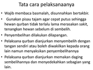 Tata cara pelaksanaanya
• Wajib membaca basmalah, disunnahkan bertakbir.
• Gunakan pisau tajam agar cepat putus sehingga
hewan qurban tidak terlalu lama merasakan sakit,
tenangkan hewan sebelum di sembelih.
• Penyembelihan dilakukan dilapangan.
• Pelaksana qurban dianjurkan menyembelih dengan
tangan sendiri atau boleh diwakilkan kepada orang
lain namun menyaksikan penyembelihannya
• Pelaksana qurban dianjurkan memakan daging
sembelihannya dan menyedekahkan sebagian yang
lain.

 