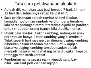 Tata cara pelaksanaan akiakah
• Aqiqah dilaksanakan saat bayi berusia 7 hari, 14 hari,
21 hari dan seterusnya setiap kelipatan 7.
• Saat pelaksanaan aqiqah rambut si bayi dicukur,
kemudian potongan rambutnya ditimbang beratnya,
lalu berat potongan rambut tersebut dijadikan patokan
untuk shodaqoh orang tuanya bila dibelikan emas.
• Untuk bayi laki-laki 2 ekor kambing, sedangkan anak
perempuan hanya 1 ekor kambing yang disembelih.
Tidak seperti hari raya qurban dimana daging kambing
diberikan dalam keadaan mentah, untuk aqiqah
biasanya daging kambing tersebut sudah diolah
menjadi masakan yang matang baru dibagikan kepada
tetangga dan karib kerabat.
• Pemberian nama secara resmi kepada sang bayi
dilakukan saat pelaksanaan aqiqah.

 