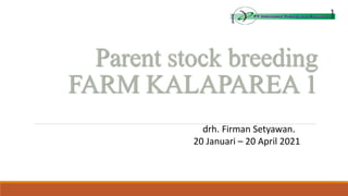 Parent stock breeding
FARM KALAPAREA 1
drh. Firman Setyawan.
20 Januari – 20 April 2021
 