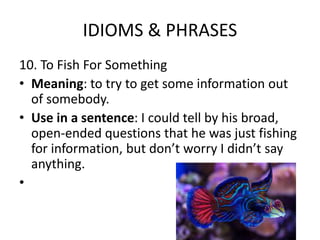 IDIOMS & PHRASES
10. To Fish For Something
• Meaning: to try to get some information out
of somebody.
• Use in a sentence: I could tell by his broad,
open-ended questions that he was just fishing
for information, but don’t worry I didn’t say
anything.
•
 