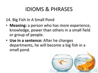 IDIOMS & PHRASES
14. Big Fish In A Small Pond
• Meaning: a person who has more experience,
knowledge, power than others in a small field
or group of people.
• Use in a sentence: After he changes
departments, he will become a big fish in a
small pond.
 