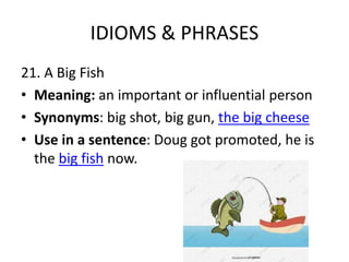 IDIOMS & PHRASES
21. A Big Fish
• Meaning: an important or influential person
• Synonyms: big shot, big gun, the big cheese
• Use in a sentence: Doug got promoted, he is
the big fish now.
 