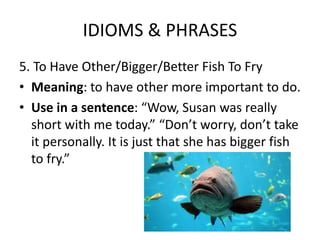 IDIOMS & PHRASES
5. To Have Other/Bigger/Better Fish To Fry
• Meaning: to have other more important to do.
• Use in a sentence: “Wow, Susan was really
short with me today.” “Don’t worry, don’t take
it personally. It is just that she has bigger fish
to fry.”
 