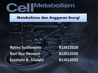 Retno Susilowaty B1J012028
Ruri Nur Saswuri B1J012030
Evialado R. Silalahi B1J012032
Metabolisme dan Anggaran Energi
 