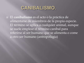    El canibalismo es el acto o la práctica de
    alimentarse de miembros de la propia especie.
    El término se aplica a cualquier animal, aunque
    se suele emplear el término caníbal para
    referirse al ser humano que se alimenta o come
    a otro ser humano (antropofagia)
 
