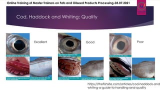 Cod, Haddock and Whiting: Quality
https://thefishsite.com/articles/cod-haddock-and-
whiting-a-guide-to-handling-and-quality
Excellent Good Poor
Online Training of Master Trainers on Fats and Oilseed Products Processing-03.07.2021
 