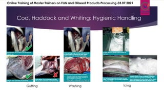 Cod, Haddock and Whiting: Hygienic Handling
Gutting Icing
Washing
Online Training of Master Trainers on Fats and Oilseed Products Processing-03.07.2021
 
