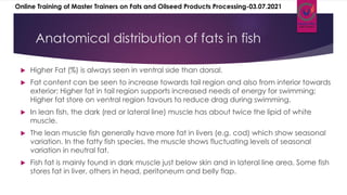 Anatomical distribution of fats in fish
 Higher Fat (%) is always seen in ventral side than dorsal.
 Fat content can be seen to increase towards tail region and also from interior towards
exterior; Higher fat in tail region supports increased needs of energy for swimming;
Higher fat store on ventral region favours to reduce drag during swimming.
 In lean fish, the dark (red or lateral line) muscle has about twice the lipid of white
muscle.
 The lean muscle fish generally have more fat in livers (e.g. cod) which show seasonal
variation. In the fatty fish species, the muscle shows fluctuating levels of seasonal
variation in neutral fat.
 Fish fat is mainly found in dark muscle just below skin and in lateral line area. Some fish
stores fat in liver, others in head, peritoneum and belly flap.
Online Training of Master Trainers on Fats and Oilseed Products Processing-03.07.2021
 