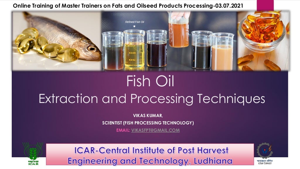 Fish oil extraction and processing techniques