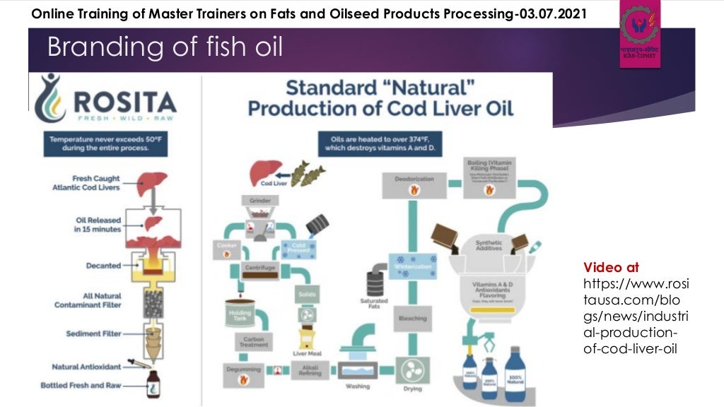 Fish oil extraction and processing techniques