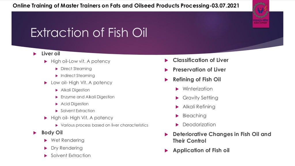 Fish oil extraction and processing techniques