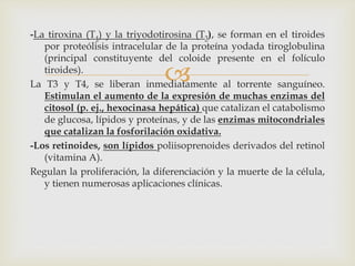 
-La tiroxina (T4) y la triyodotirosina (T3), se forman en el tiroides
por proteólisis intracelular de la proteína yodada tiroglobulina
(principal constituyente del coloide presente en el folículo
tiroides).
La T3 y T4, se liberan inmediatamente al torrente sanguíneo.
Estimulan el aumento de la expresión de muchas enzimas del
citosol (p. ej., hexocinasa hepática) que catalizan el catabolismo
de glucosa, lípidos y proteínas, y de las enzimas mitocondriales
que catalizan la fosforilación oxidativa.
-Los retinoides, son lípidos poliisoprenoides derivados del retinol
(vitamina A).
Regulan la proliferación, la diferenciación y la muerte de la célula,
y tienen numerosas aplicaciones clínicas.
 