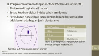 Phelan Normal PPT FISIOLOGI CAIRAN AMNION FIX PET.pptx
