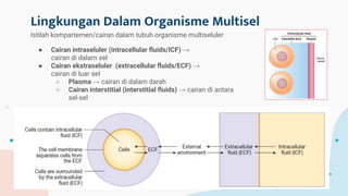 PPT_Fisiologi Dasar.pdf