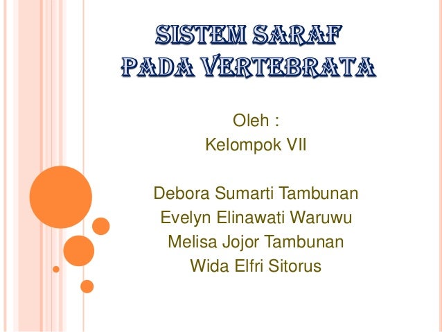 Sistem Saraf