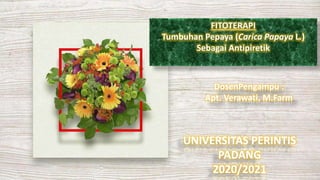 FITOTERAPI
Tumbuhan Pepaya (Carica Papaya L.)
Sebagai Antipiretik
DosenPengampu :
Apt. Verawati, M.Farm
UNIVERSITAS PERINTIS
PADANG
2020/2021
 